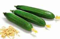 Cucumber